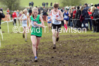 Girls under-13s, 2020 British Athletics Inter Counties Cross Country Champs., Prestwold Hall, Loughborough. Photo: David T. Hewitson/Sports for All Pics